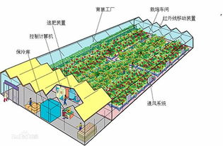 新技术如何赋能农民增收？北京欧倍尔3D设施农业系统的崛起